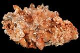 Orange Creedite Crystal Cluster - Durango, Mexico #84201-1